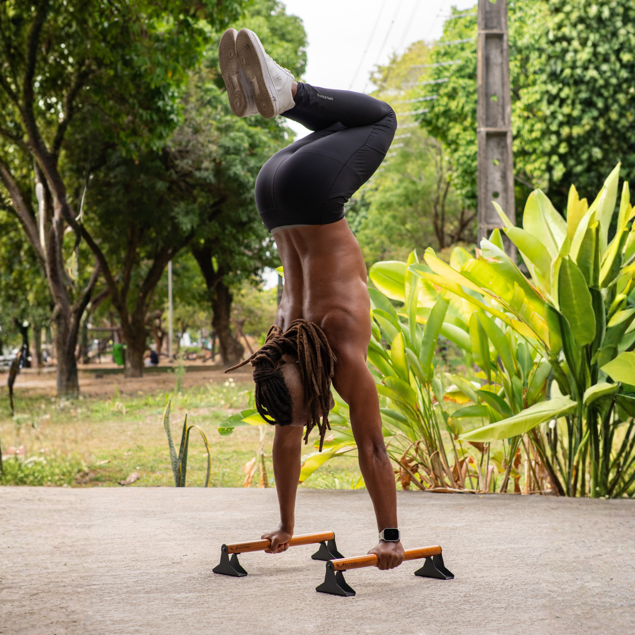 Parallette Cervus - Imagem 4