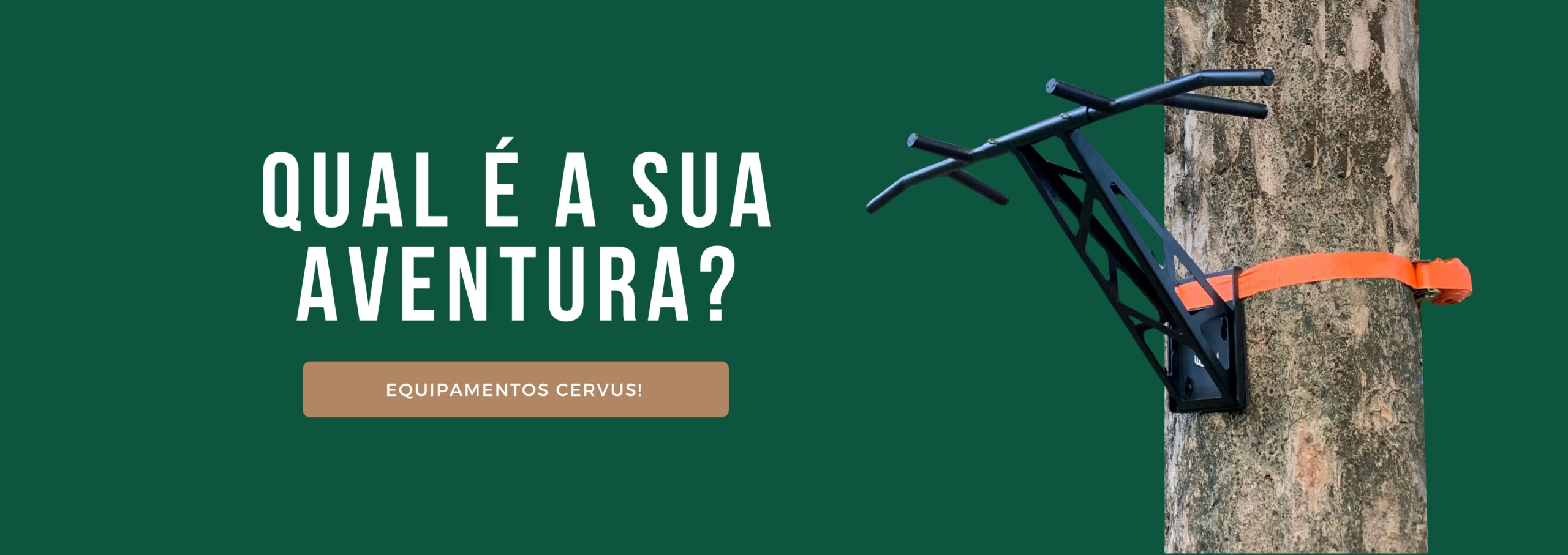desktop banner após carrossel (4)